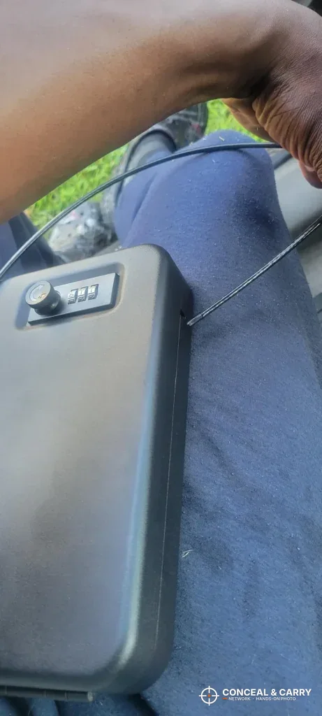 Dalmbox lock box held up by its steel security cable