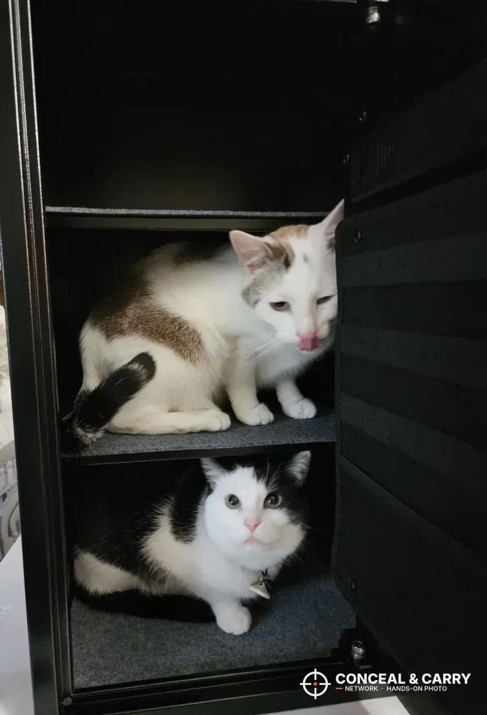 Two cats sitting on both levels of the open Grimtron 4-pistol safe