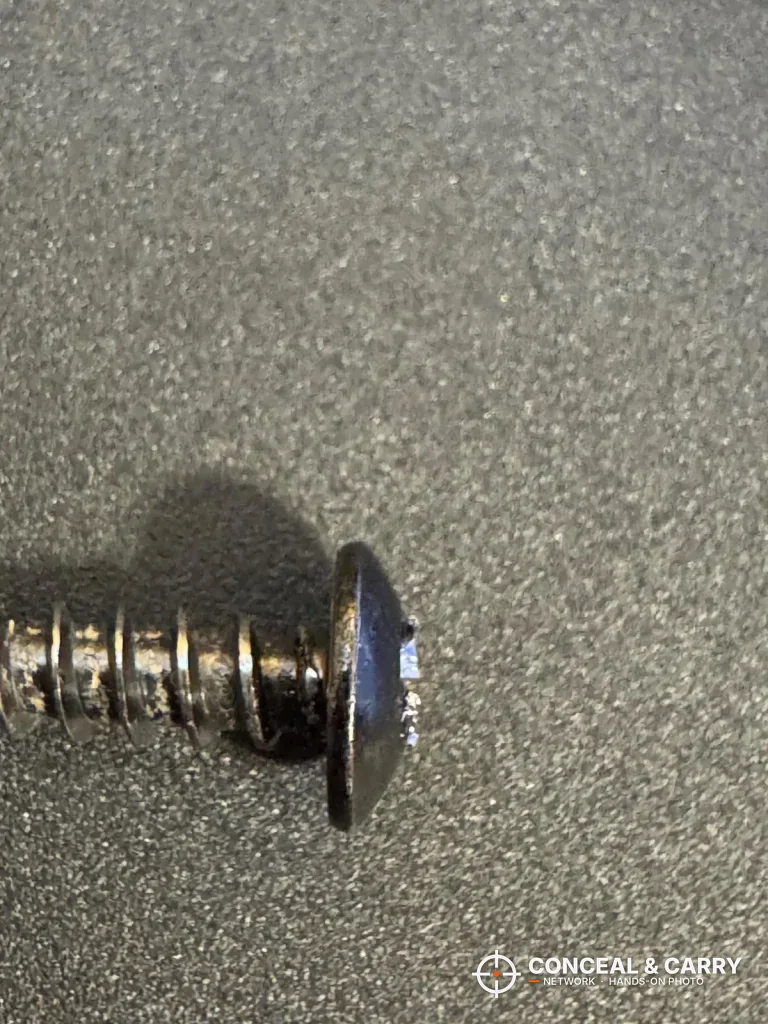 Close-up of a mounting screw for the HOLEWOR slider safe
