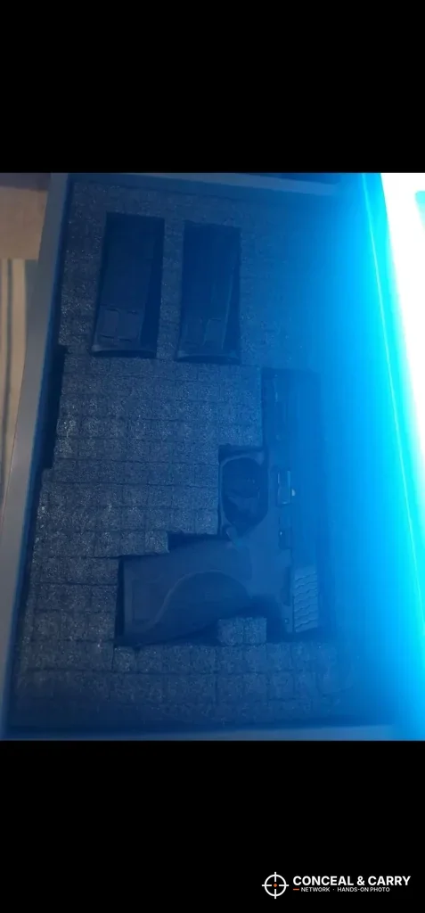 Foam insert with cutouts inside the Lvifur hidden compartment