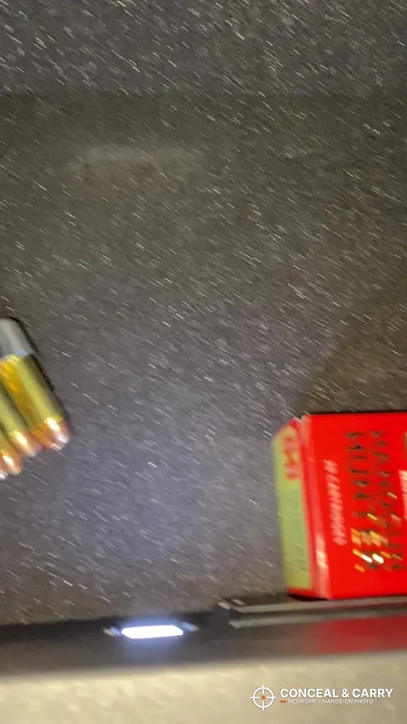 Interior light near the floor of the RPNB 4-pistol safe